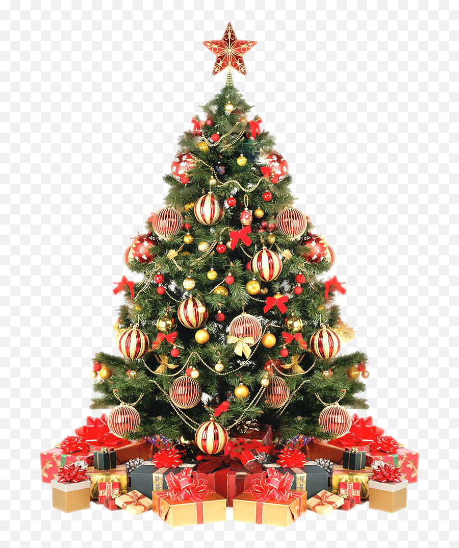 Download Hd Árvore De Natal 12 - Christmas Tree Decorated Christmas Tree In The Philippines Png,Natal Png