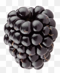 Black Jewel - Grape Png,Blackberries Png