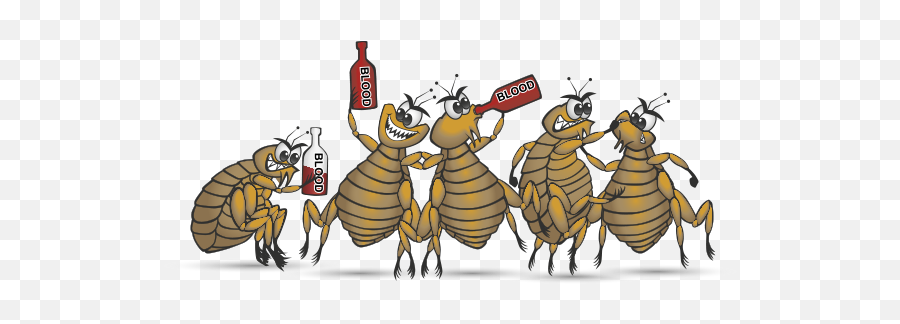 How To Get Rid Of Fleas Pestradar Flea And Pest Control Png Flea Png 