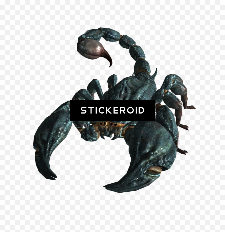 Scorpion Insects Scorpions - Fallout 3 Radscorpion Clipart Radscorpion Fallout New Vegas Png,Fallout 3 Png