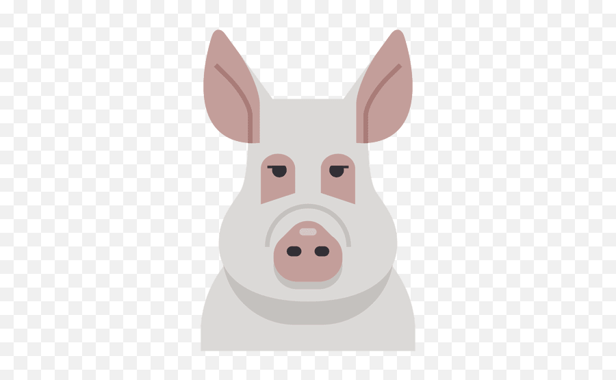 Transparent Png Svg Vector File - Domestic Pig,Nose Png