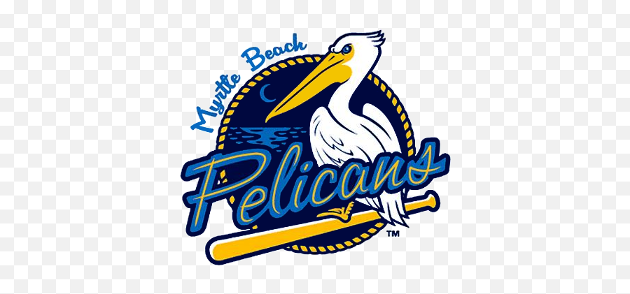 Myrtle Beach Pelicans Logo Png - South Carolina Sports Teams,Pelicans Logo Png
