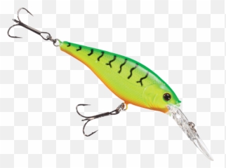 Best - Selling Fishing Gear Bass Pro Shops Hook png