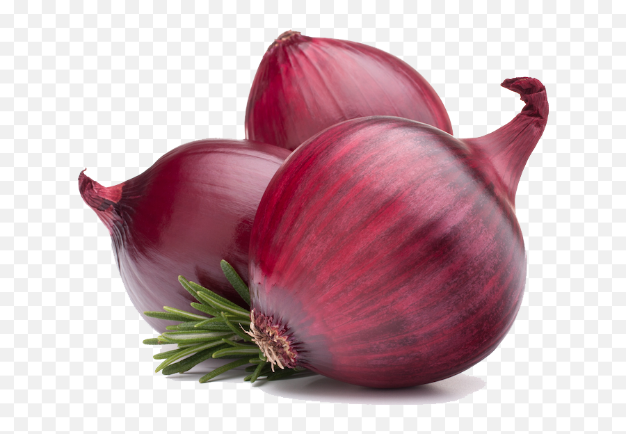 Red Onion Png Hd - Onion Png,Onion Png