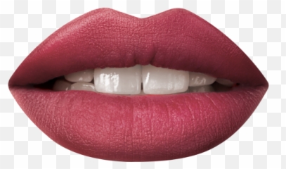 Download Lipstick Png - Transparent With No Background