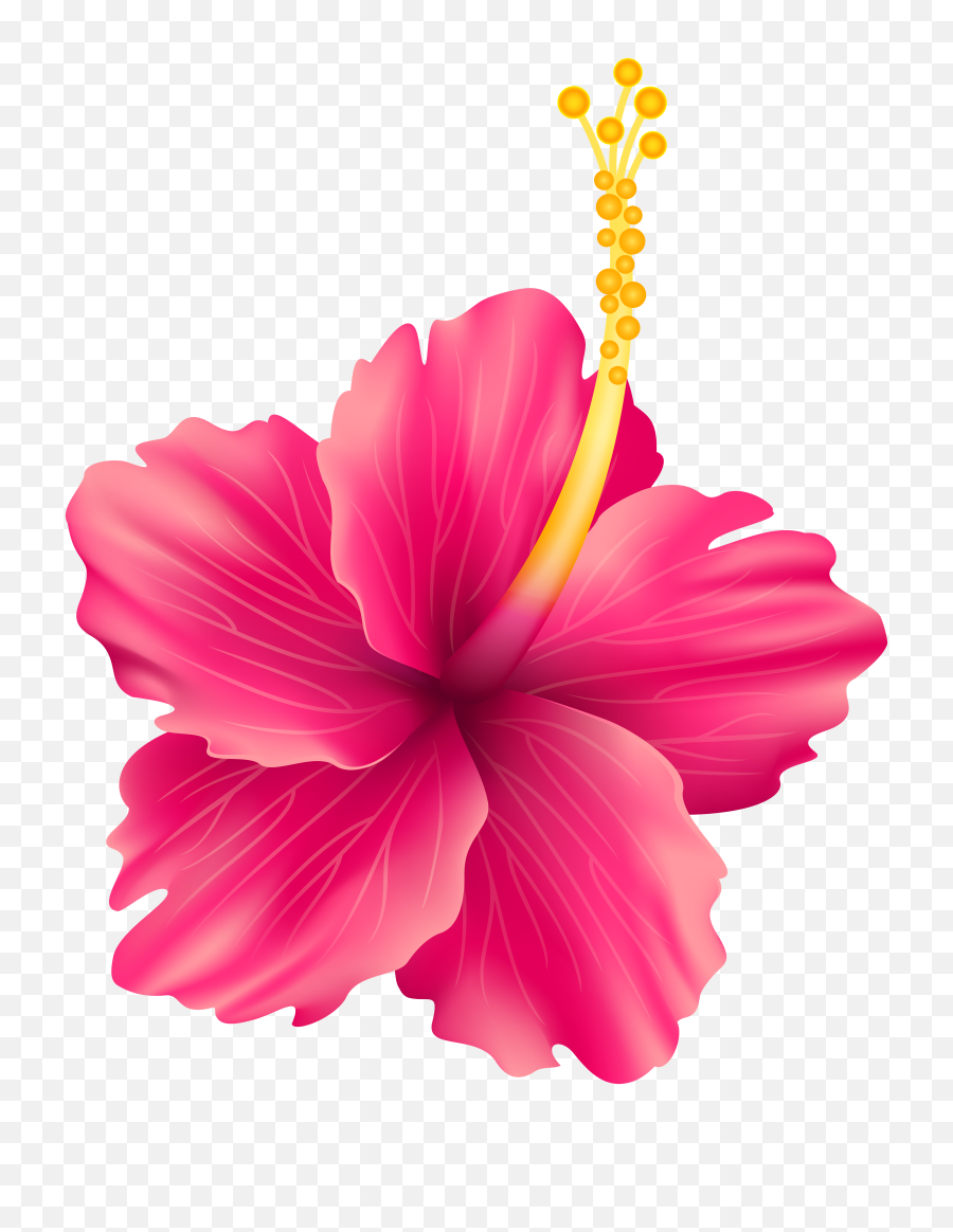 Pink Exotic Flower Png Transparent Clip Hawaiian Flowers