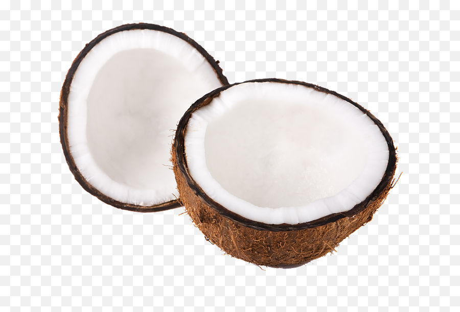 Coconut Half - Inside Coconut Png,Coconut Png