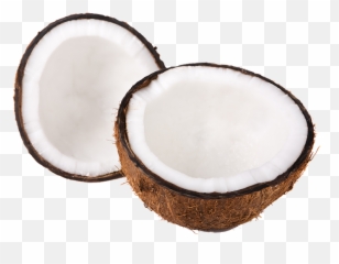 Coconut Half - Inside Coconut Png,Coconut Png