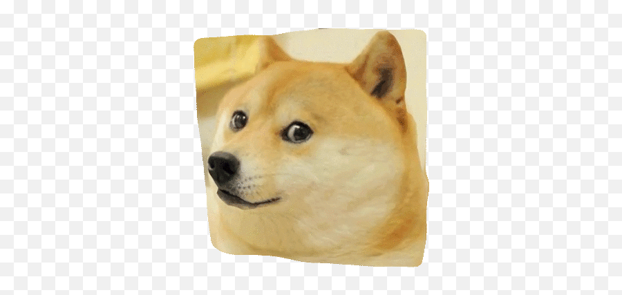 3d Doge With Transparent Background - Ok Boomer Meme Png,Doge Transparent Background