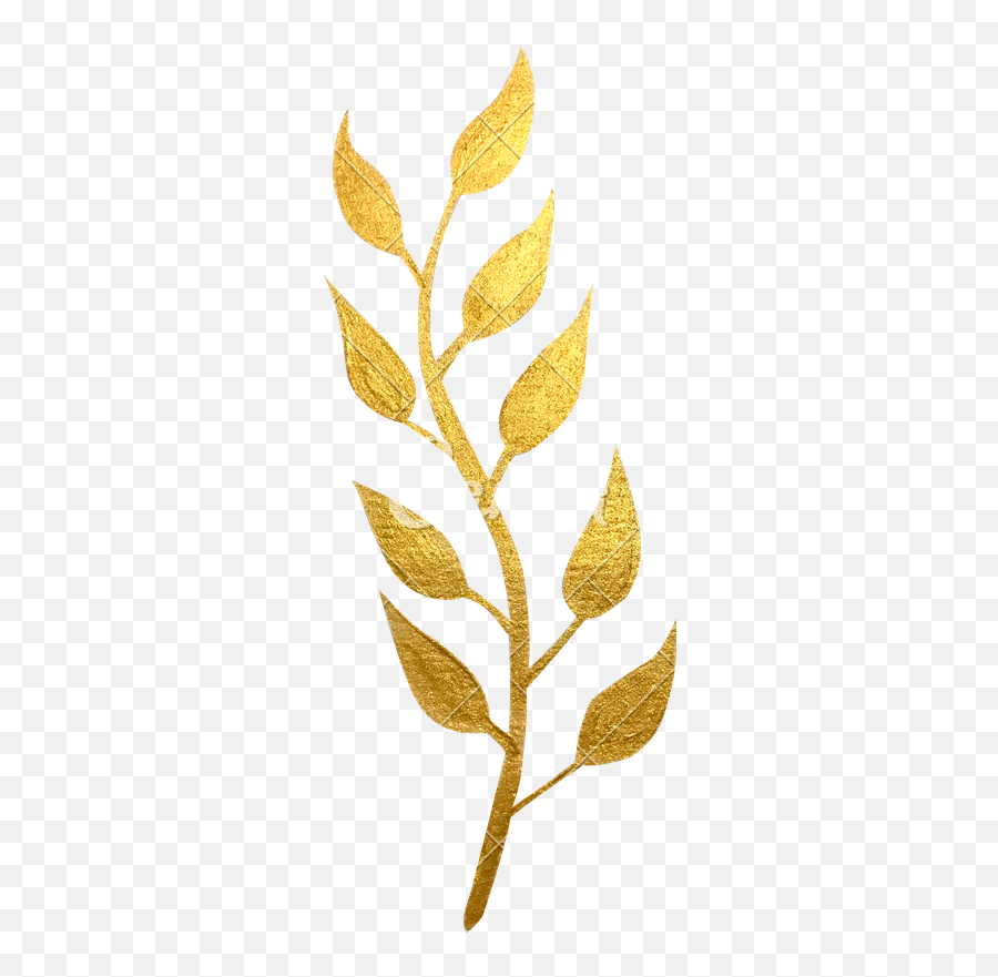 Gold Leaves Transparent Png Clipart - Decorative Gold Leaves Png,Gold Leaf Png