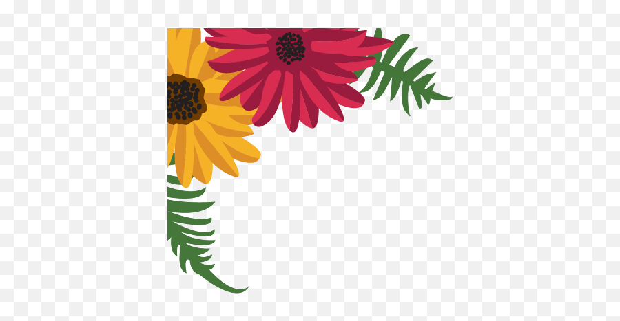 Download Garden Party - African Daisy Png,Corner Flowers Png