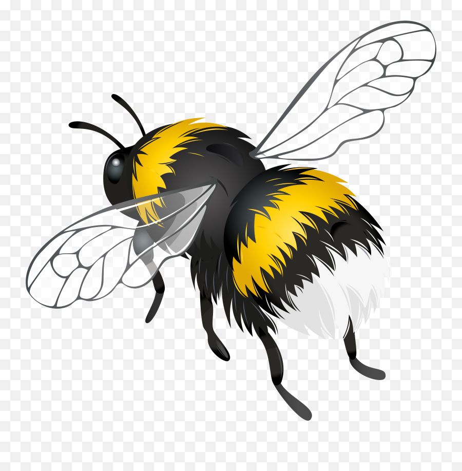 Library Of Flower Bee Image Png Files - Transparent Bee Clipart Png,Bees Png