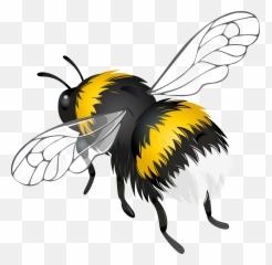 Library Of Flower Bee Image Png Files - Transparent Clipart