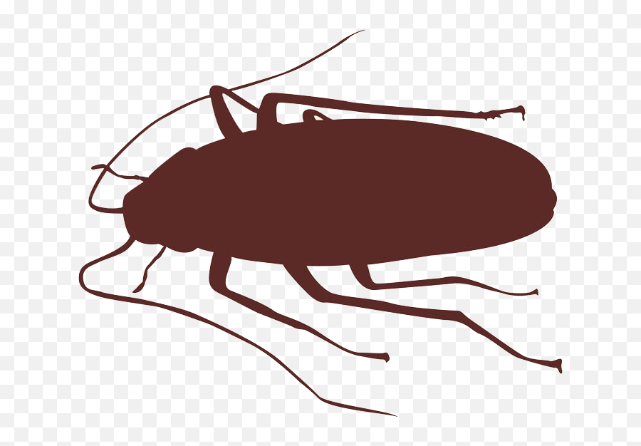 Cockroach Insect Silhouette - Silhouette Cockroach Outline Png,Roach Png