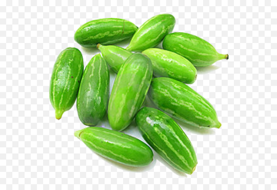 Download Ivy Gourd - Ivy Gourd Tendli Png,Gourd Png