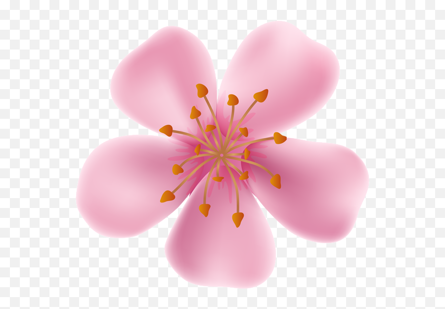 Library Of Flower Bloomed Clip Freeuse Png Files - Blossom Blooming Flower,Blossom Png