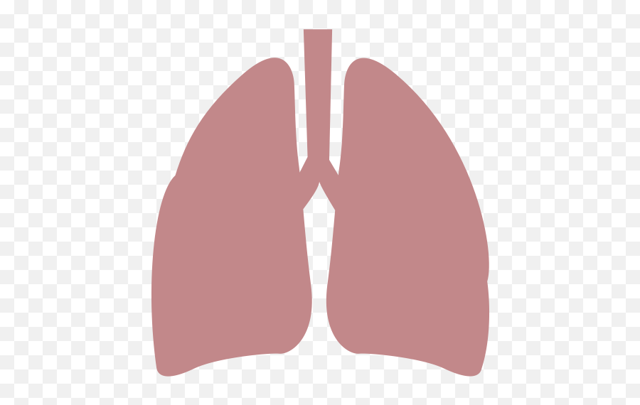 Lung Icon - Clip Art Png,Lungs Png