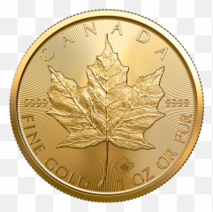 1 Oz Maple Leaf 2020 Gold Coin - 2020 Silver Maple Leaf Png,Coin Transparent