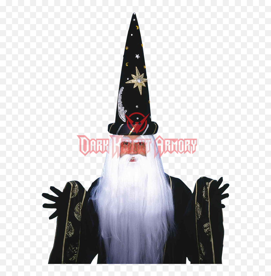 Download Zoom - Costume Png,Wizard Beard Png