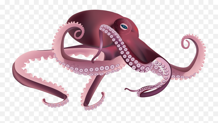 Download Free Png Octopus - Transparent Background Octopus Clipart,Octopus Png