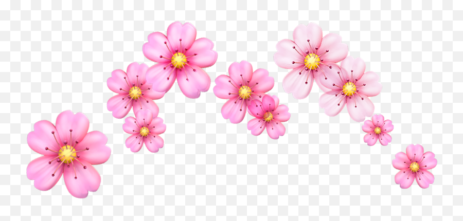 Cherry Blossom Flowers Emoji Png Image - Flower Emoji Crown Png,Flower Emoji Png