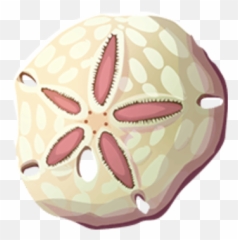 Sand Dollar - png