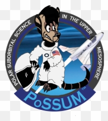 Download Hd Possum Logo 600 X Png - Project Possum Project Possum,Possum Png