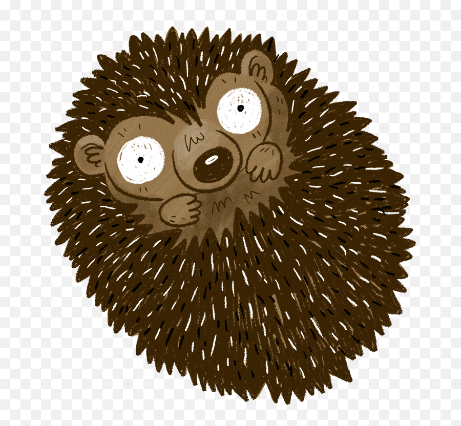 All About Hedgehogs - Shepreth Wildlife Conservation Charity 1 Png,Hedgehog Transparent