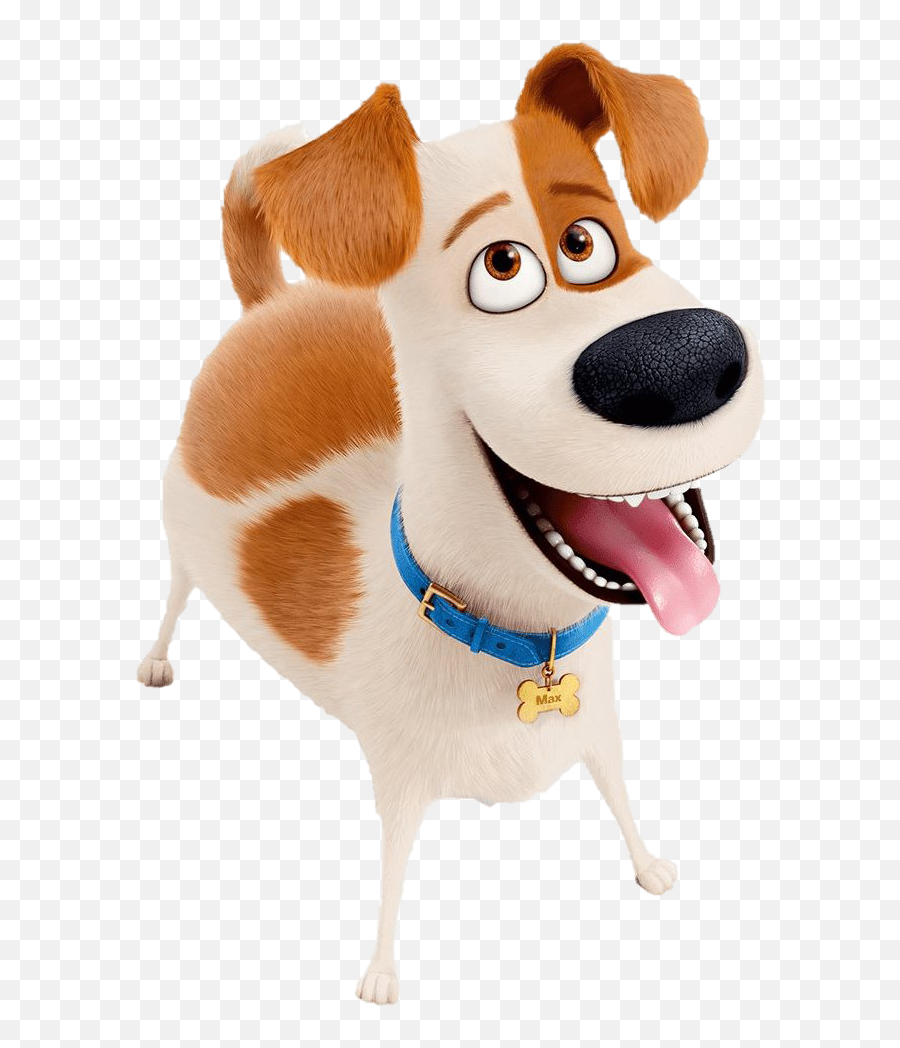 The Secret Life Of Pets Png Clipart - Secret Life Of Pets Clip Art,Pets Png