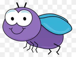 Cute Fly Clipart - Fruit Art png