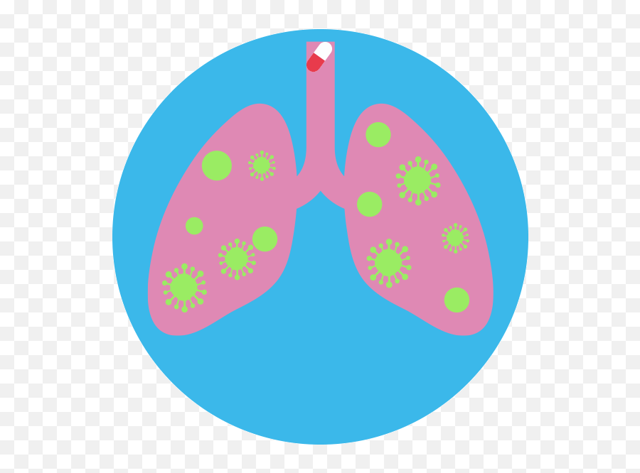 Online Lung Health Checker Irish Cancer Society - Christmas Circle Png,Lung Png