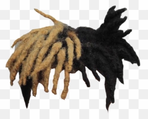 Xxxtentacion Hair Png 6 Image - Transparent