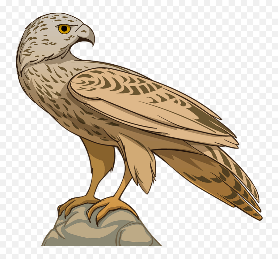 Hawk Clipart - Falcon Png,Hawk Png