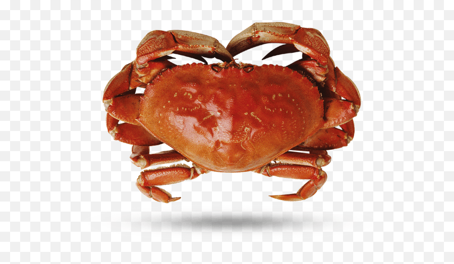 Crab - Supreme Lobster Png,Crab Legs Png