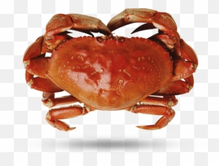Crab - Supreme Lobster Png,Crab Legs Png
