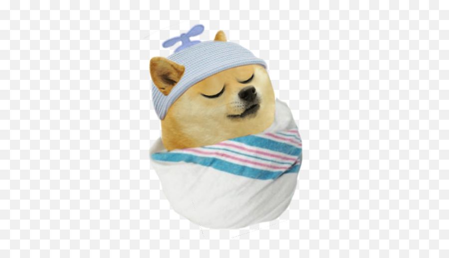 Le Baby Lil Bro Has Arrived Rdogelore Ironic Doge - Baby Lil Bro Doge Png,Doge Face Png