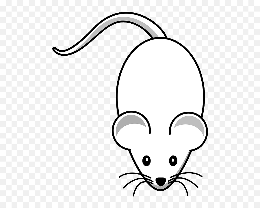 Free Photo Rodent Creature Vermin Rat Icon Mouse - Max Pixel Clip Art Png,Mouse Rodent Icon