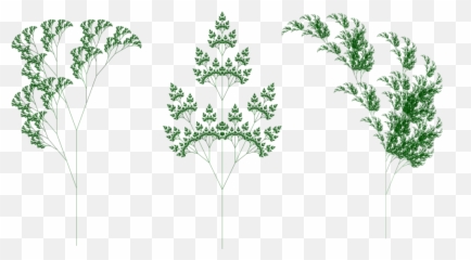 Fractal Plants Disquiet - Fractal Plant Png,Fractal Png
