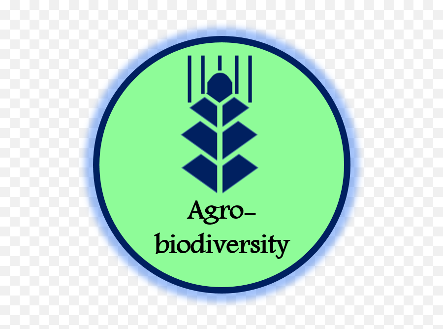 Biodiverse - Vertical Png,Biodiversity Icon
