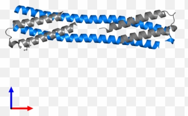 Pdbe - KB Protein Pages Dot png