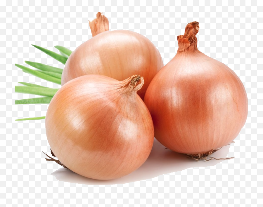 Onion Transparent Image - Onions Png,Onion Png