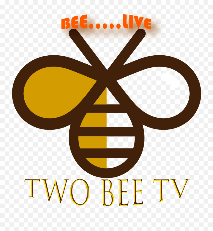 Setup Guide - Two Bee Tv Logo Abelha Png,Amazon Fire Tv Kodi Icon