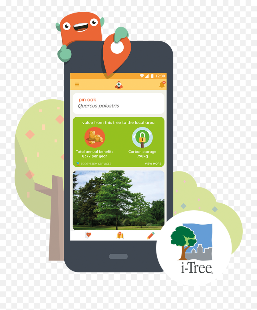 Curio Explore - Discover Share Smartphone Png,Tree Canopy Png