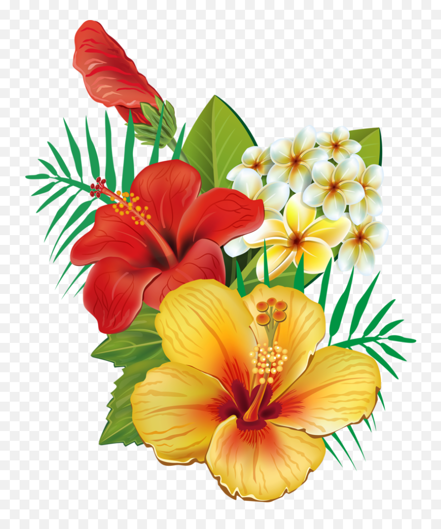 Hawaiian Flowers Transparent Png - Transparent Hawaiian Flowers Png,Hawaiian Flowers Png