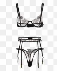 Rose Embroidered 3pc Lingerie Set Png