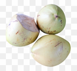 Top View Of Coconut Png Image - Portable Network Graphics,Coconut Png