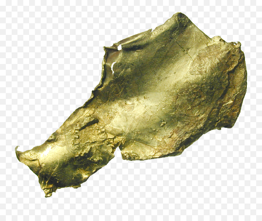 Beautiful Coins - Fish Png,Gold Nugget Png