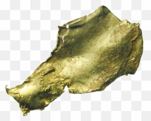 Beautiful Coins - Fish Png,Gold Nugget Png