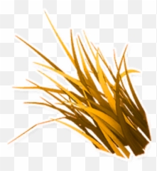 Hay - Illustration Png,Hay Png