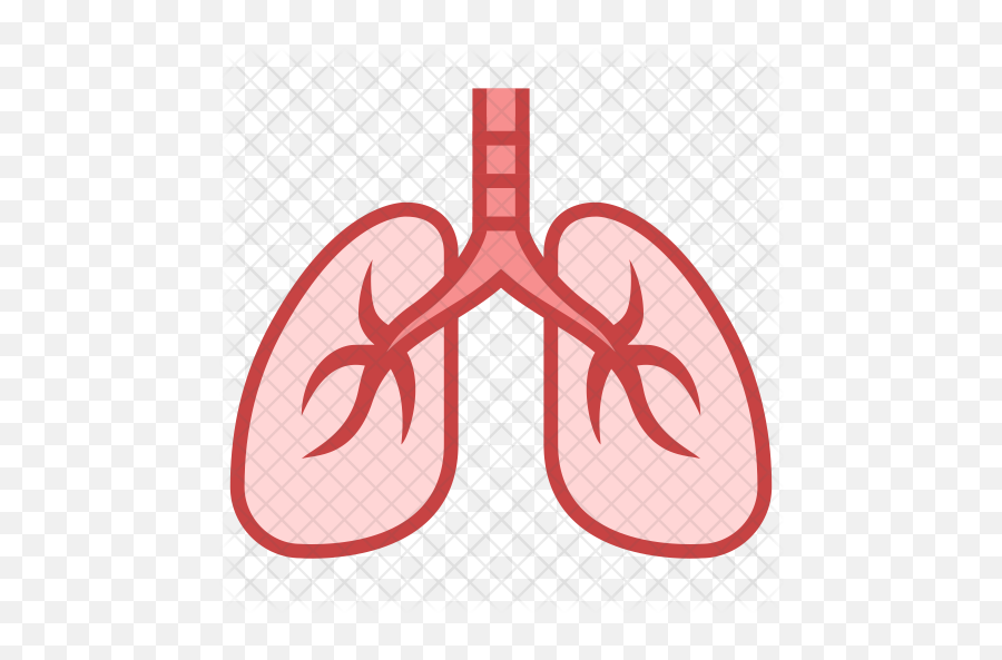 Lungs Icon Of Colored Outline Style - Lungs Icon Png,Lungs Png